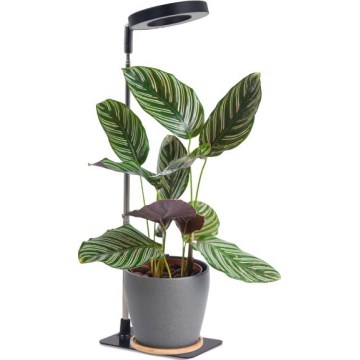 VERDI Lampă de masă LED reglabilă pentru cultivarea plantelor LED/5W/5V 1300K CRI 95, negru