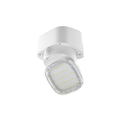Viking - Aplică solară de perete cu LED și senzor, 1 W, 3,7 V, IP44, 3000/4000 K, 4000 mAh