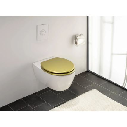 WENKO 26010100 - Capac WC ALDENO 37x41 cm auriu/argintiu
