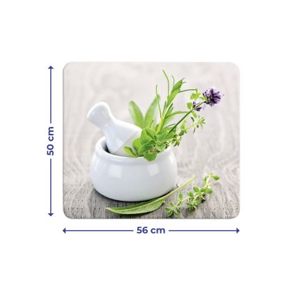WENKO 2712940500 - Placă de acoperire pentru alimente 56 x 50 cm, multicoloră/transparentă