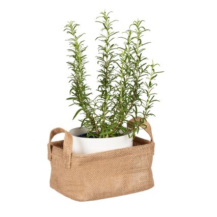 WENKO 64470100 - Coș JUNA 20x15 cm maro