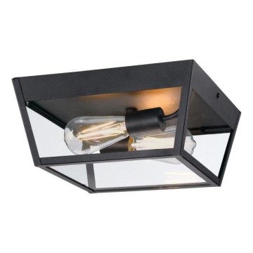 Westinghouse 61219 - Plafonieră de exterior PETERSON 2xE27/40W/230V IP44