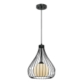 Westinghouse 6205140 - Lustră pe cablu 1xE27/60W/230V diam. 30 cm