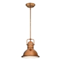 Westinghouse 6308440 - Lustru pe tijă BOSWELL 1xE27/60W/230V Ø 22 cm
