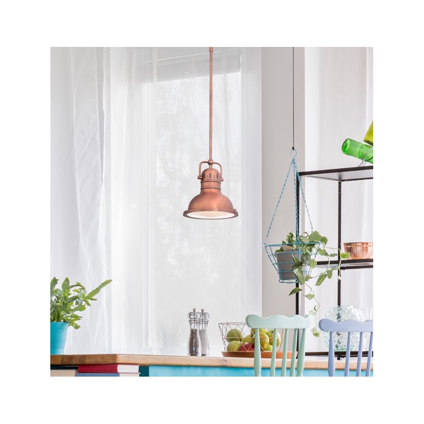 Westinghouse 6308440 - Lustru pe tijă BOSWELL 1xE27/60W/230V Ø 22 cm
