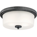 Westinghouse 6325140 - Plafonieră CEDRIC 2xE27/40W/230V Ø 33 cm