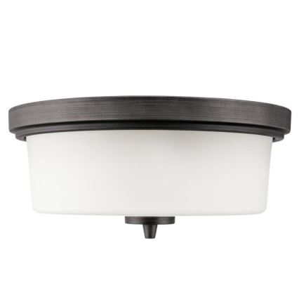Westinghouse 6325140 - Plafonieră CEDRIC 2xE27/40W/230V Ø 33 cm