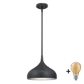 Westinghouse 6329440 - Lustră LED pe tijă RUDI 1xE27/60W/230V Ø 30 cm