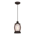 Westinghouse 6361740 - Lustru suspendat pe cablu CANYON 1xE27/60W/230V diam. 19 cm