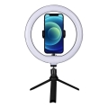 Winner Group - Lampă de birou LED reglabilă cu stativ și suport pentru vlogging LED/10W/5V