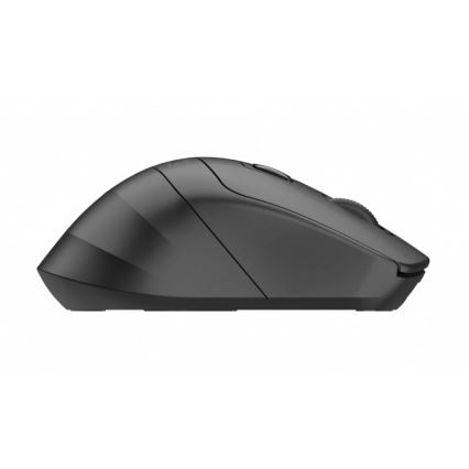 Winner Group - Mouse fără fir SEA MOUSE 500 mAh, negru