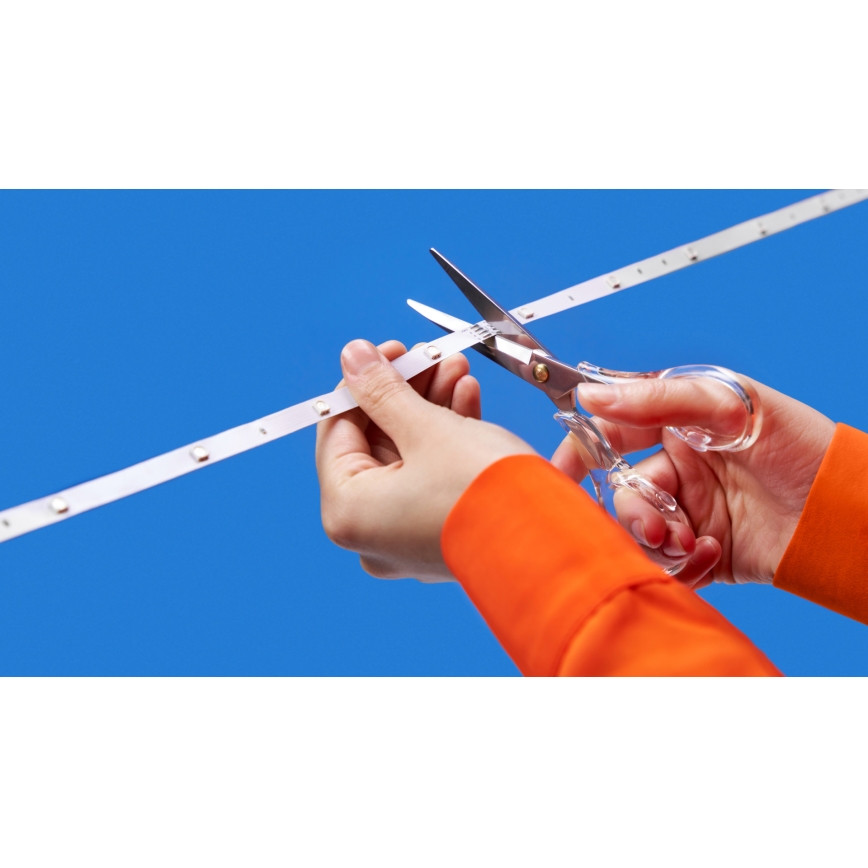 WiZ - Bandă LED RGBW reglabilă 4 m LED/6,5/230V 2700-6500K Wi-Fi