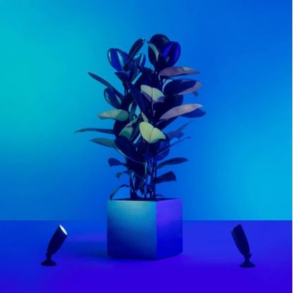 WiZ - Spot LED RGBW exterior reglabil, LED/4W/12V 2700K-5000K IP65 Wi-Fi