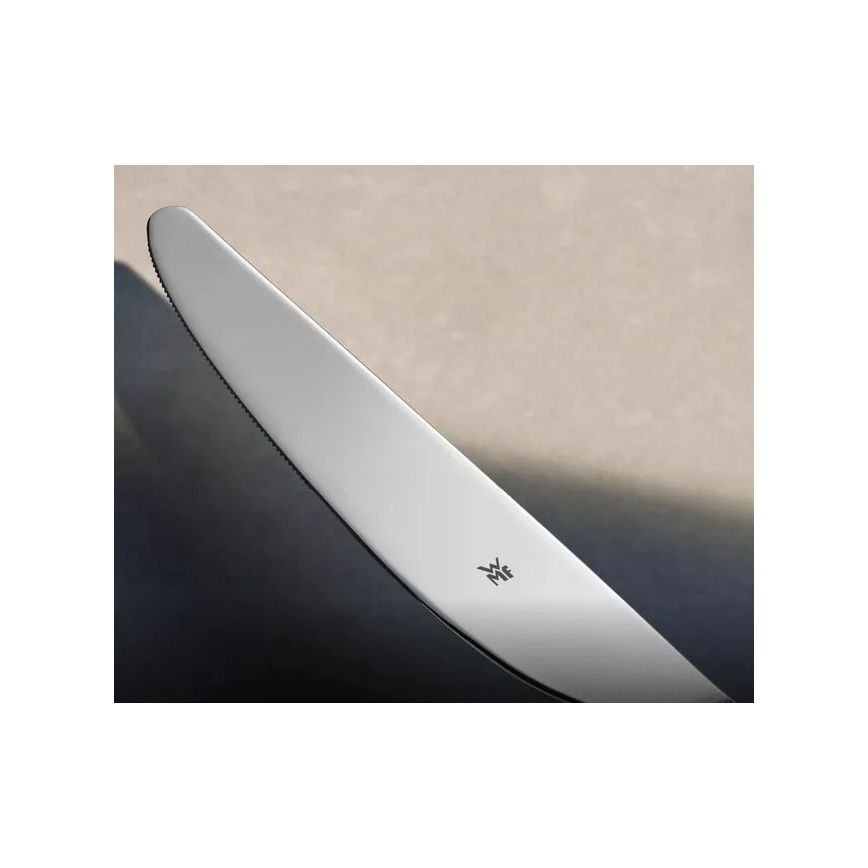 WMF - Set de tacâmuri BOSTON, 24 piese, din oțel inoxidabil