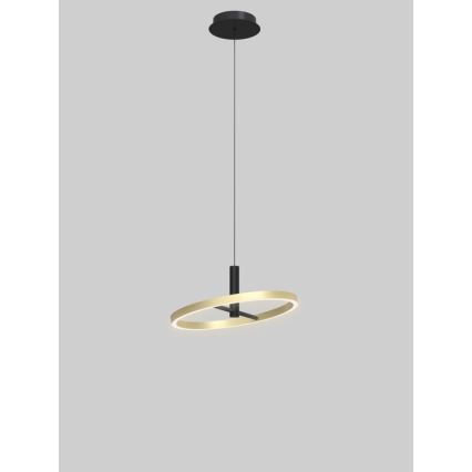Wofi 6016-104L - Lustră LED dimabilă BREST, suspendată pe cablu, LED 19W, 230V, Ø 42 cm, negru/auriu