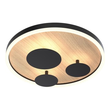 Wofi 9013-306S - Plafonieră LED reglabilă REIMS LED/26W/230V