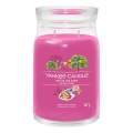 Yankee Candle - Lumânare parfumată ART IN THE PARK mare 567g 60-90 ore