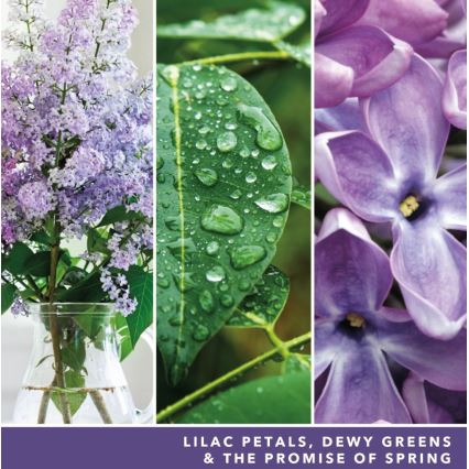 Yankee Candle - Lumânare parfumată LILAC BLOSSOMS mare 567g 60-90 ore.