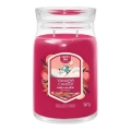 Yankee Candle - Lumânare parfumată SANTA ON SKIS mare 567g 60-90 ore