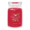 Yankee Candle - Lumânare parfumată SPARKLING CINNAMON mare 567g 60-90 ore.