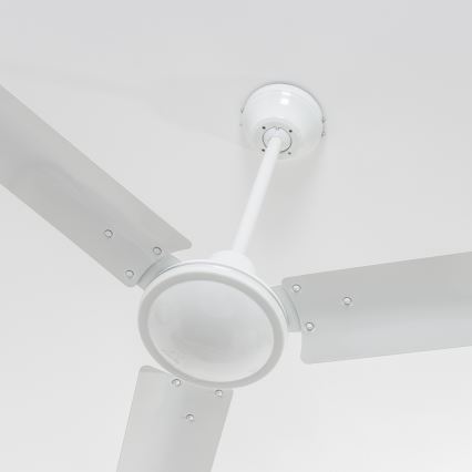 ZEVENTI - Ventilator de tavan TOFINO alb