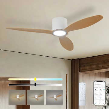 ZEVENTI - Ventilator de tavan VENTORA LED reglabil, 24W, 230V, 3000/4000/6000K, Wi-Fi Tuya, alb/stejar + telecomandă