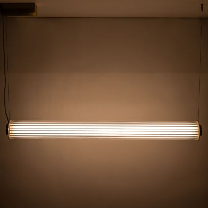 Zuma Line - Lustră LED dimabilă pe cablu LED/39W/230V 2700-6500K aurie + telecomandă