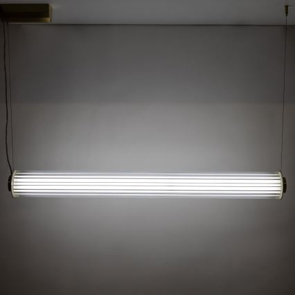 Zuma Line - Lustră LED dimabilă pe cablu LED/39W/230V 2700-6500K aurie + telecomandă
