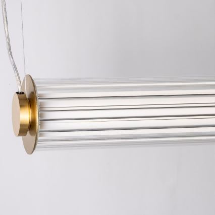 Zuma Line - Lustră LED dimabilă pe cablu LED/39W/230V 2700-6500K aurie + telecomandă