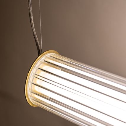 Zuma Line - Lustră LED dimabilă pe cablu LED/39W/230V 2700-6500K aurie + telecomandă
