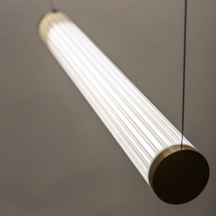 Zuma Line - Lustră LED dimabilă suspendată pe cablu, 64W, 230V, 2700-6500K, auriu + telecomandă