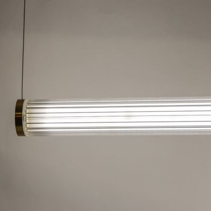 Zuma Line - Lustră LED dimabilă suspendată pe cablu, 64W, 230V, 2700-6500K, auriu + telecomandă