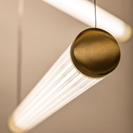 Zuma Line - Lustră LED dimabilă suspendată pe cablu, 64W, 230V, 2700-6500K, auriu + telecomandă