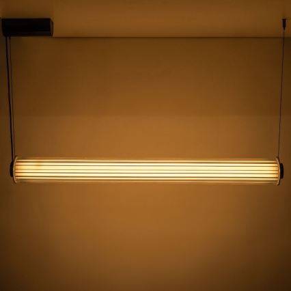 Zuma Line - Lustra LED dimabilă pe cablu LED/39W/230V 2700-6500K neagră + telecomandă