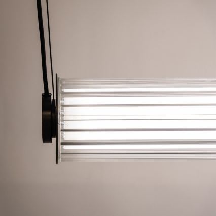 Zuma Line - Lustra LED dimabilă pe cablu LED/39W/230V 2700-6500K neagră + telecomandă