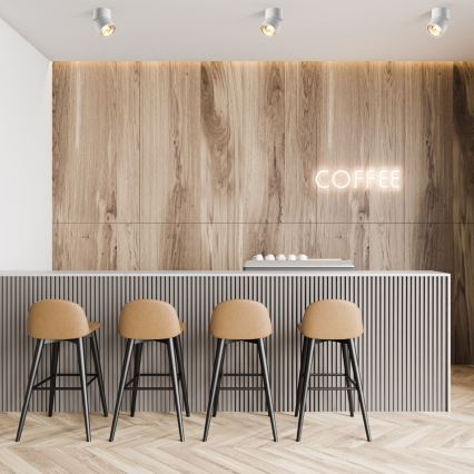 Zuma Line - Spot 1xGU10-ES111/15W/230V alb