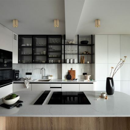 Zuma Line - Spot LED RGBW reglabil 1x GU10/4,8W/230V, auriu + telecomandă