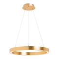 Zuma Line - Candelabru LED suspendat pe cablu LED/30W/230V 40 cm auriu