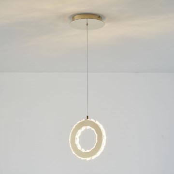 Zuma Line - Lustră LED dimabilă pe cablu LED/10W/230V, aurie
