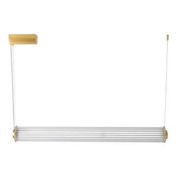 Zuma Line - Lustră LED dimabilă pe cablu LED/39W/230V 2700-6500K aurie + telecomandă