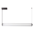 Zuma Line - Lustra LED dimabilă pe cablu LED/39W/230V 2700-6500K neagră + telecomandă