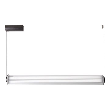 Zuma Line - Lustra LED dimabilă pe cablu LED/39W/230V 2700-6500K neagră + telecomandă