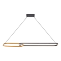 Zuma Line - Lustra LED suspendată pe cablu 2xLED/40W/230V negru/auriu