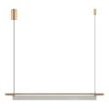 Zuma Line - Lustră LED suspendată pe cablu, LED/14W/230V, auriu