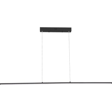 Zuma Line - Lustră LED suspendată pe cablu LED/20W/230V, neagră