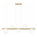 Zuma Line - Lustră suspendată pe cablu 5xG9/33W/230V, finisaj auriu