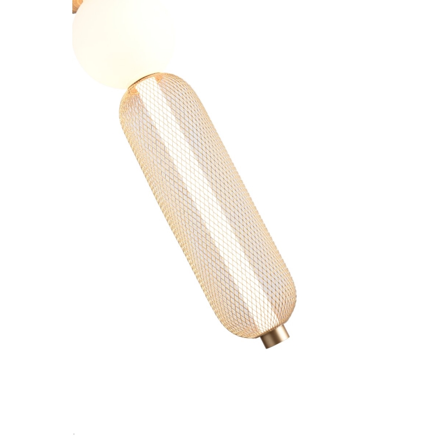 Zuma Line - Lustră LED dimmabilă pe cablu LED/27W/230V 3000-5700K finisaj auriu + telecomandă