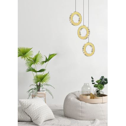 Zuma Line - Lustră LED dimabilă pe cablu LED/10W/230V, aurie