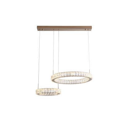 Zuma Line - Lustră LED suspendată pe cablu, 36W/230V, aur roz