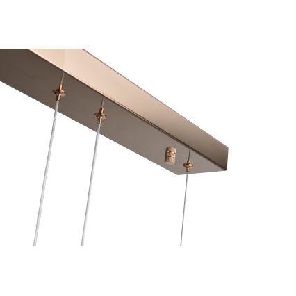 Zuma Line - Lustră LED suspendată pe cablu, 36W/230V, aur roz